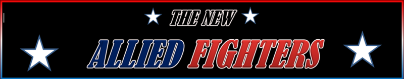 File:Allied Fighters Log Banner.png