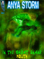Thumbnail for version as of 03:46, 19 June 2013