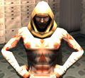 Thumbnail for version as of 22:02, 5 June 2013